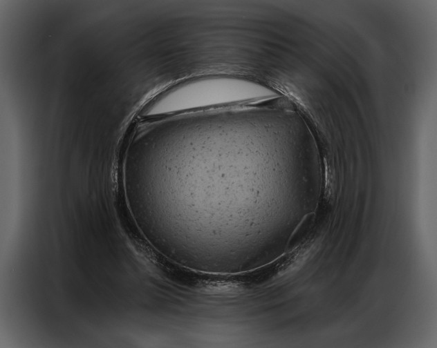 X0000087000348200705071510