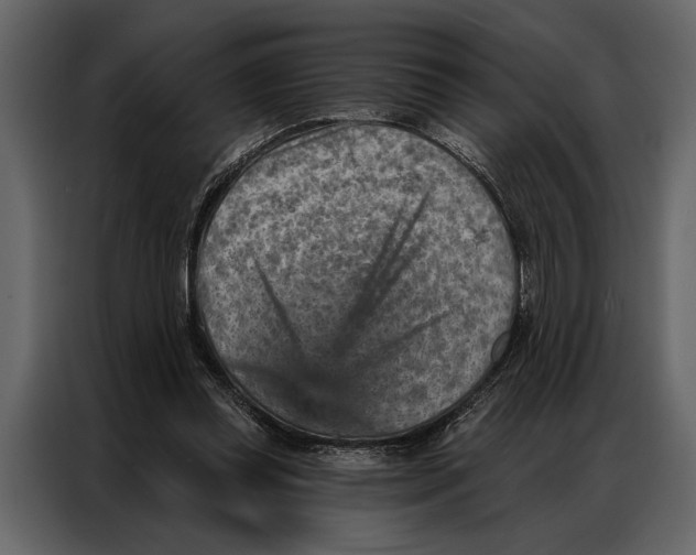 X0000087000349200705071510