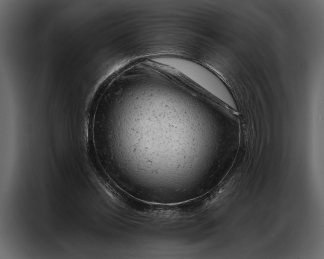 X0000087000350200705071510