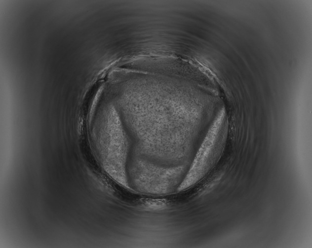 X0000087000355200705071510