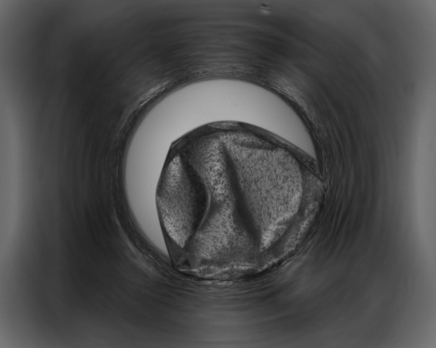 X0000087000356200705071510