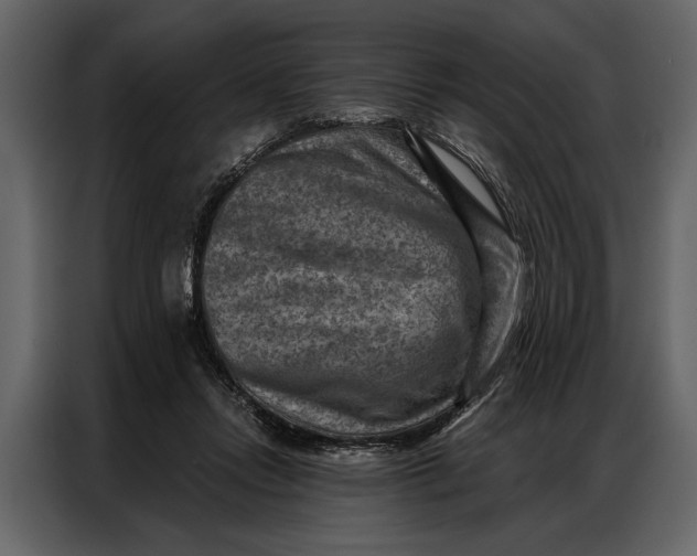 X0000087000358200705071510