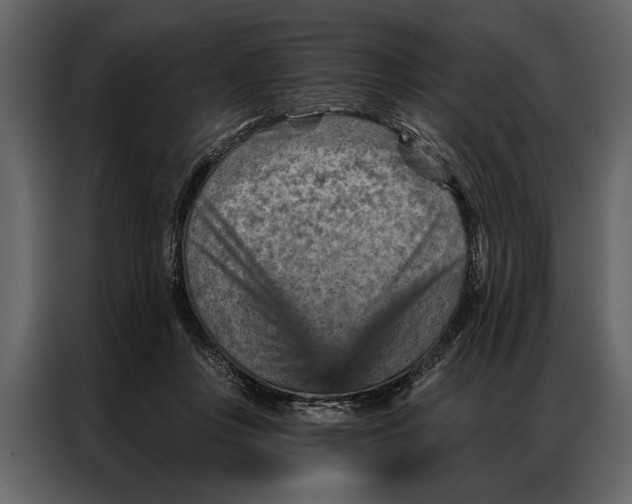 X0000087000359200705071510