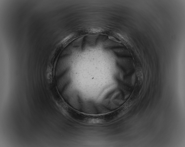 X0000087000360200705071510