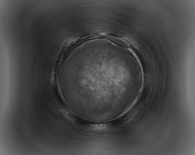 X0000087000361200705071510