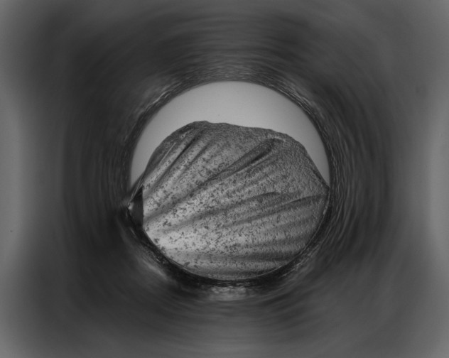 X0000087000362200705071510