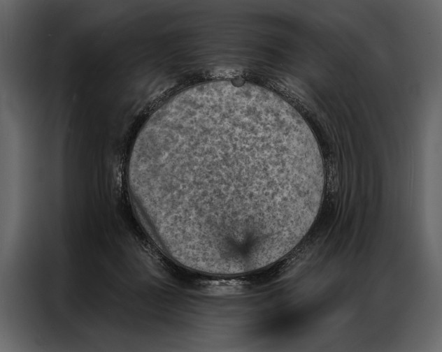 X0000087000363200705071510