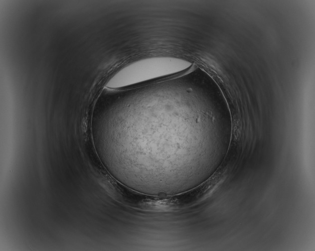 X0000087000365200705071510