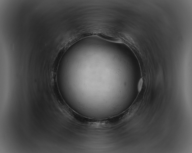 X0000087000366200705071510