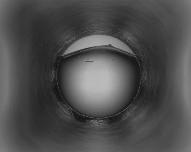 X0000087000367200705071511