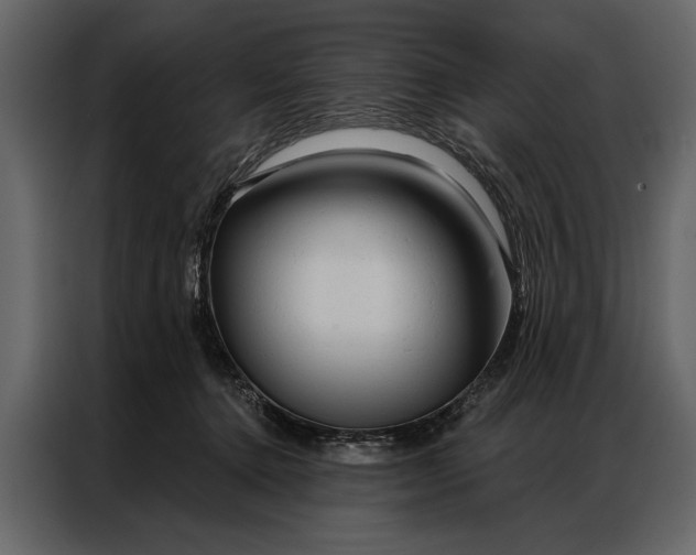 X0000087000368200705071511