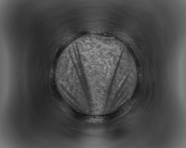 X0000087000369200705071511