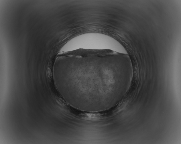 X0000087000371200705071511