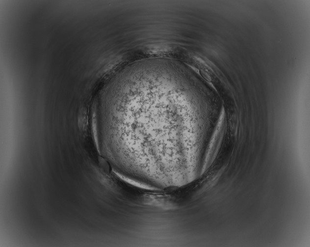 X0000087000372200705071511