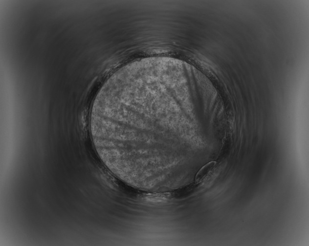 X0000087000373200705071511