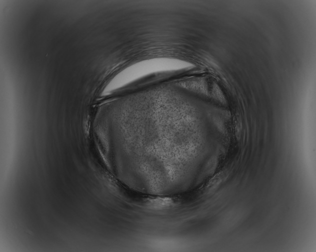 X0000087000374200705071511