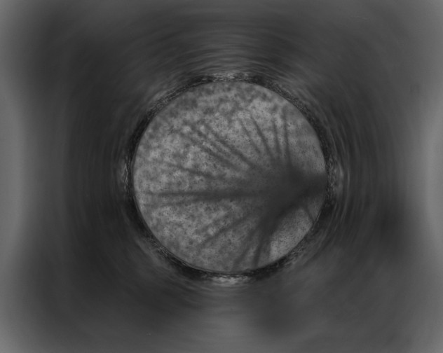 X0000087000375200705071511