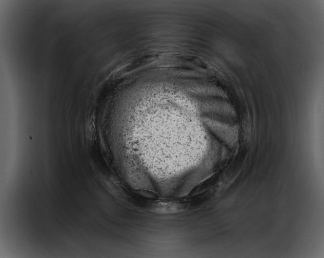 X0000087000376200705071511