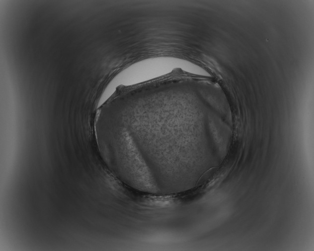 X0000087000377200705071511