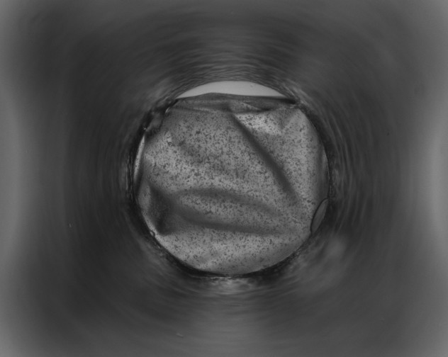 X0000087000379200705071511