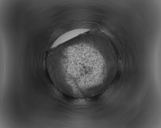 X0000087000381200705071511