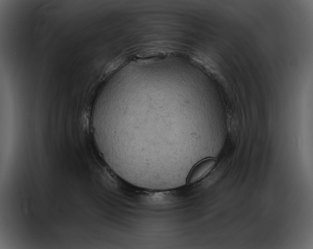 X0000087000382200705071511