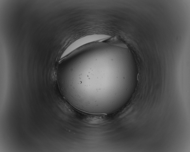 X0000087000384200705071511