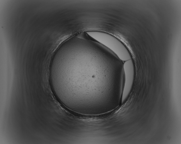 X0000087000385200705071510