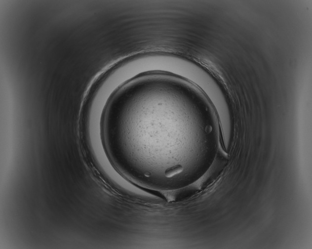 X0000087000388200705071510