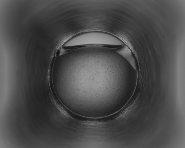 X0000087000389200705071510