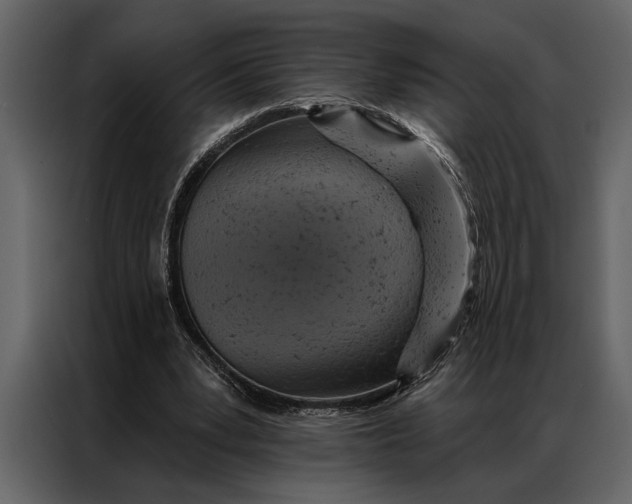 X0000087000391200705071510