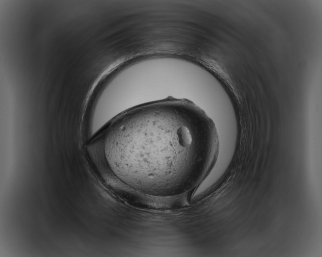 X0000087000392200705071510