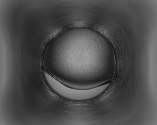 X0000087000393200705071510