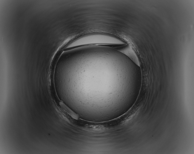 X0000087000395200705071510