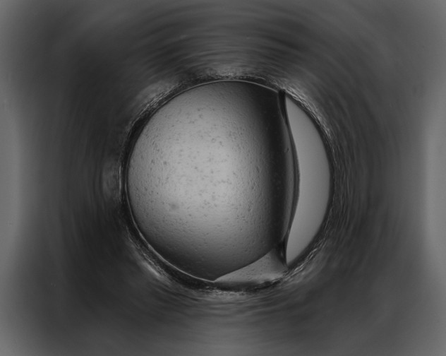 X0000087000397200705071510