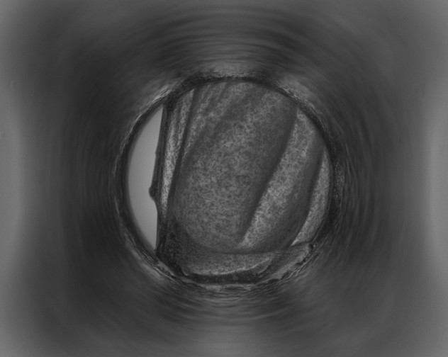 X0000087000398200705071510