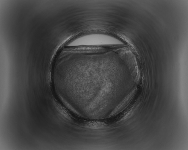 X0000087000399200705071510