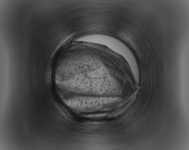 X0000087000400200705071510