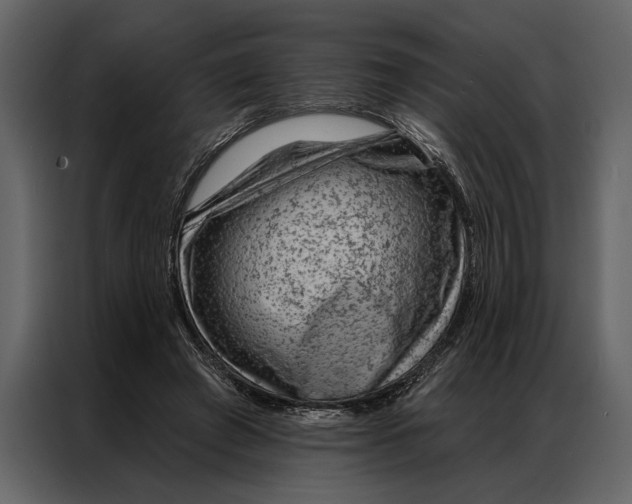 X0000087000401200705071510