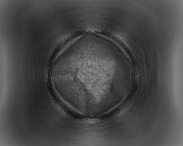 X0000087000402200705071510