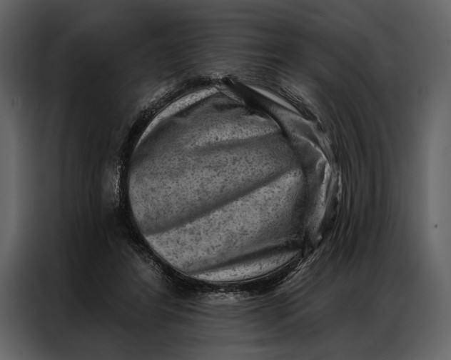 X0000087000404200705071510