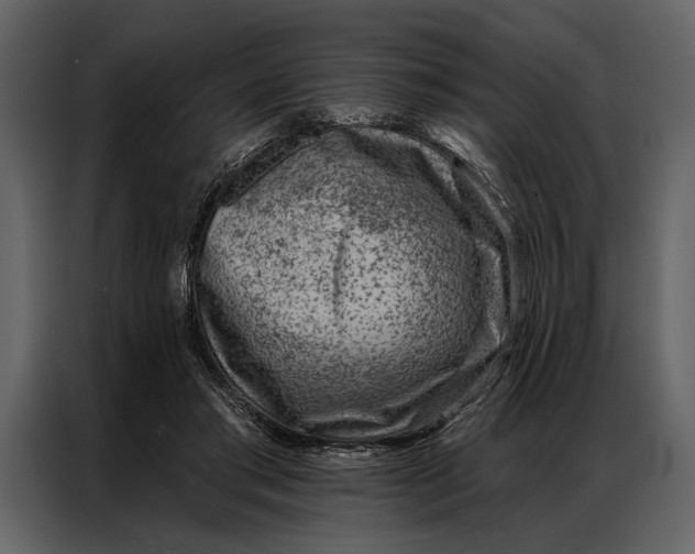 X0000087000405200705071510