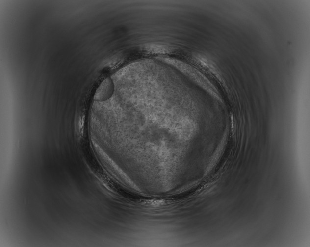 X0000087000406200705071510