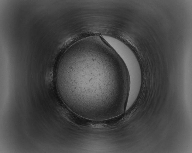 X0000087000407200705071510