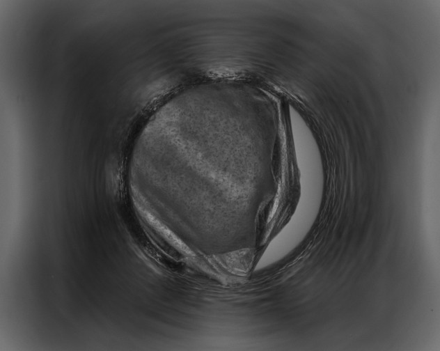 X0000087000408200705071510