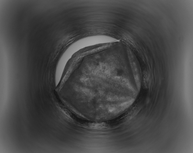 X0000087000410200705071510