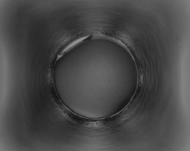 X0000087000411200705071510