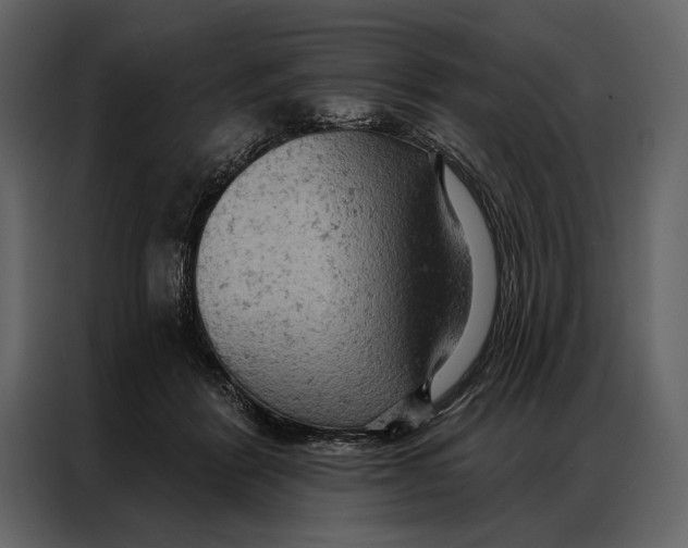 X0000087000412200705071510