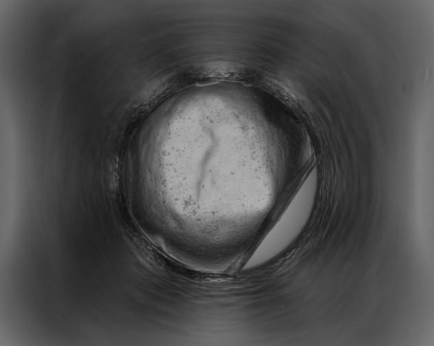 X0000087000413200705071510