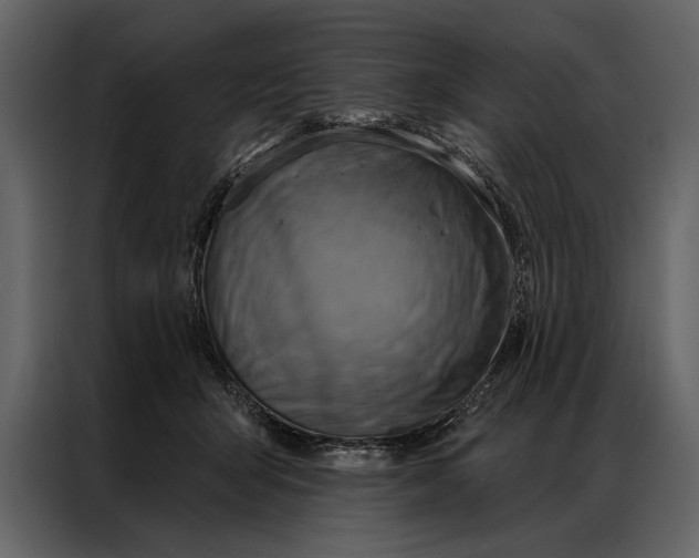 X0000087000415200705071510